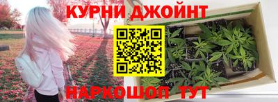 ALPHA PVP Моздок