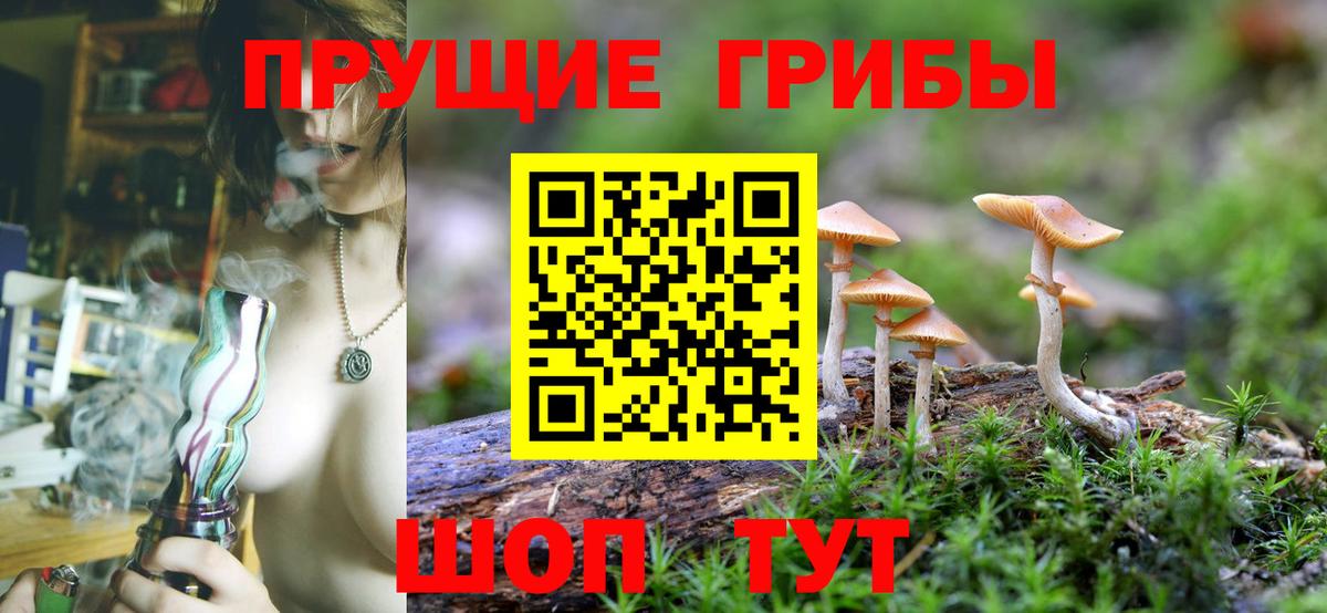 Галлюциногенные грибы мицелий Волгоград